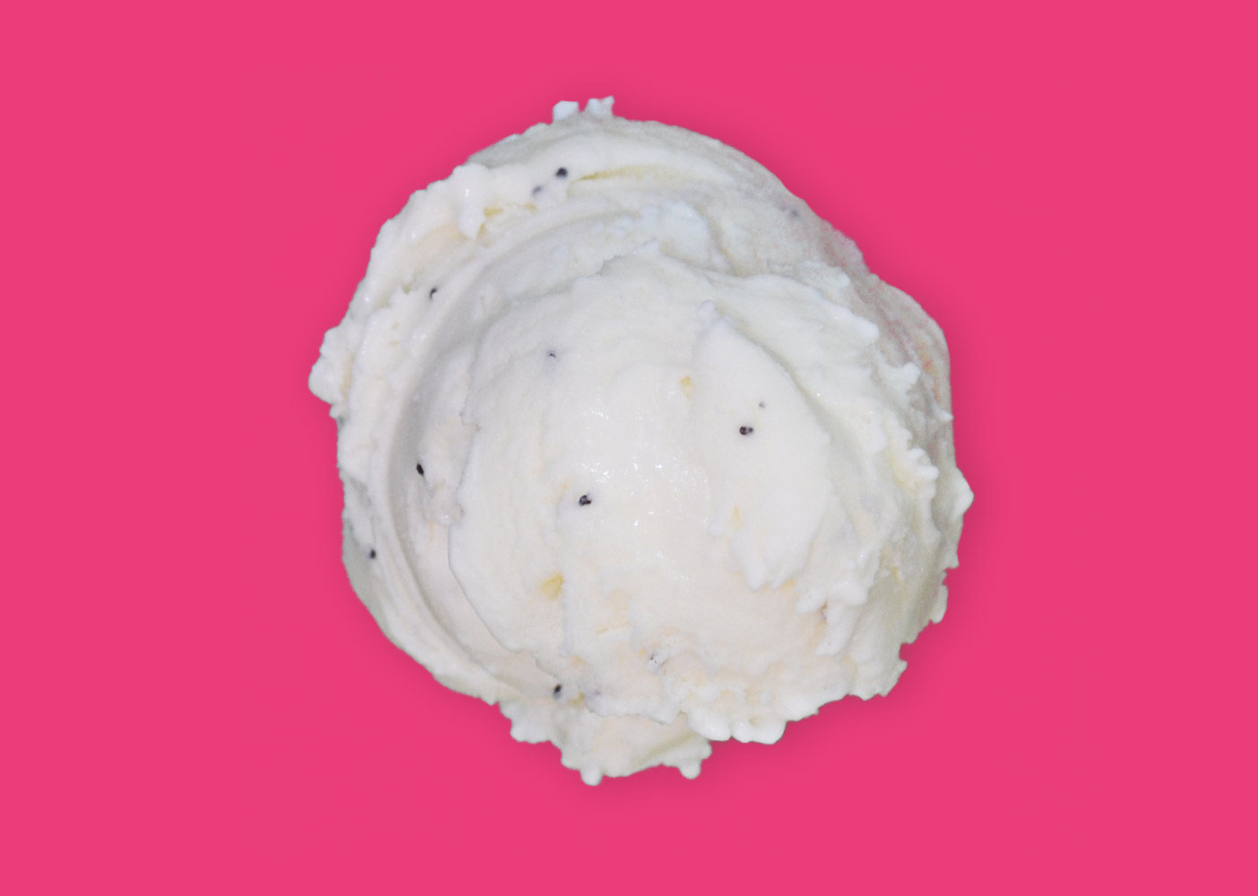 Photo of flavor: Lemon Poppy Seed