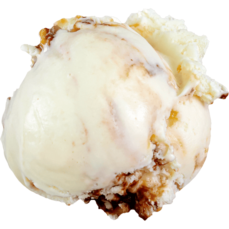 Photo of flavor: Turtle