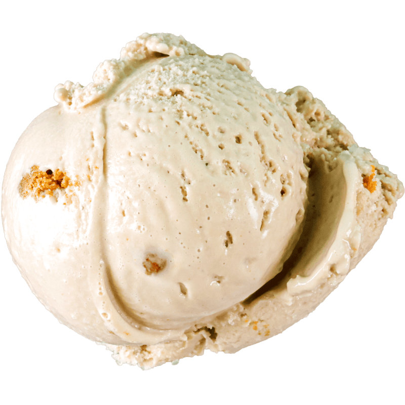 Photo of flavor: Caramel Cookie Butter (DF)